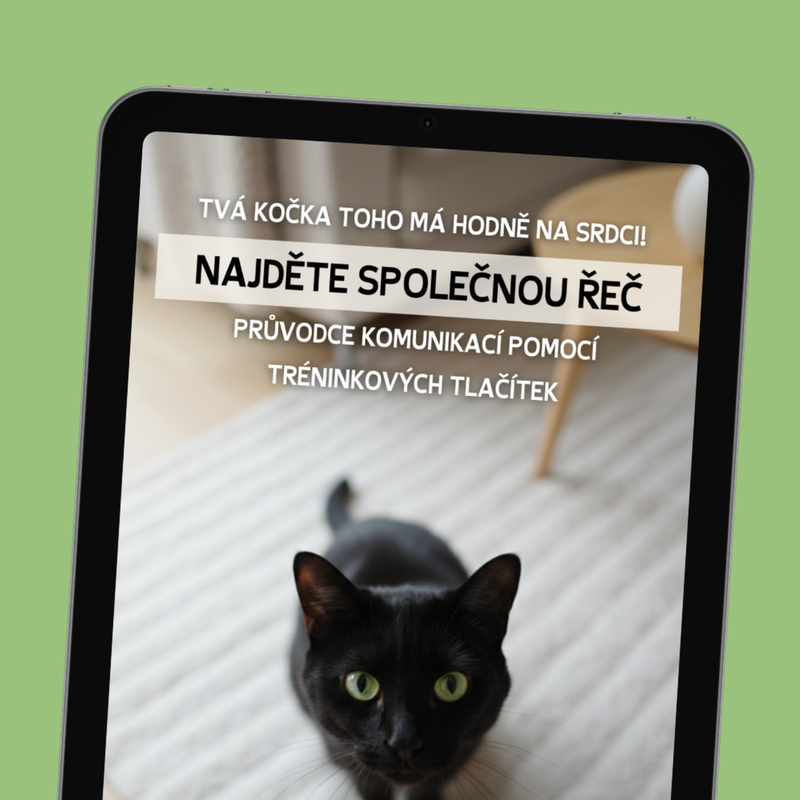 E-book: kompletní průvodce AIC