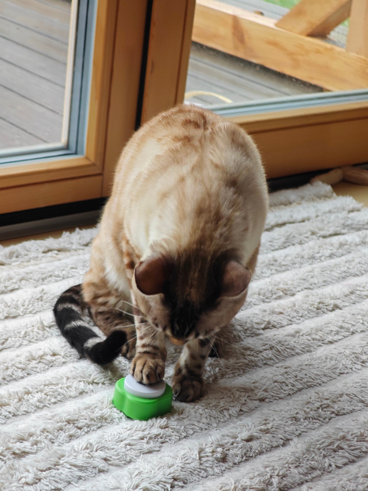 Sada tří mluvících tlačítek