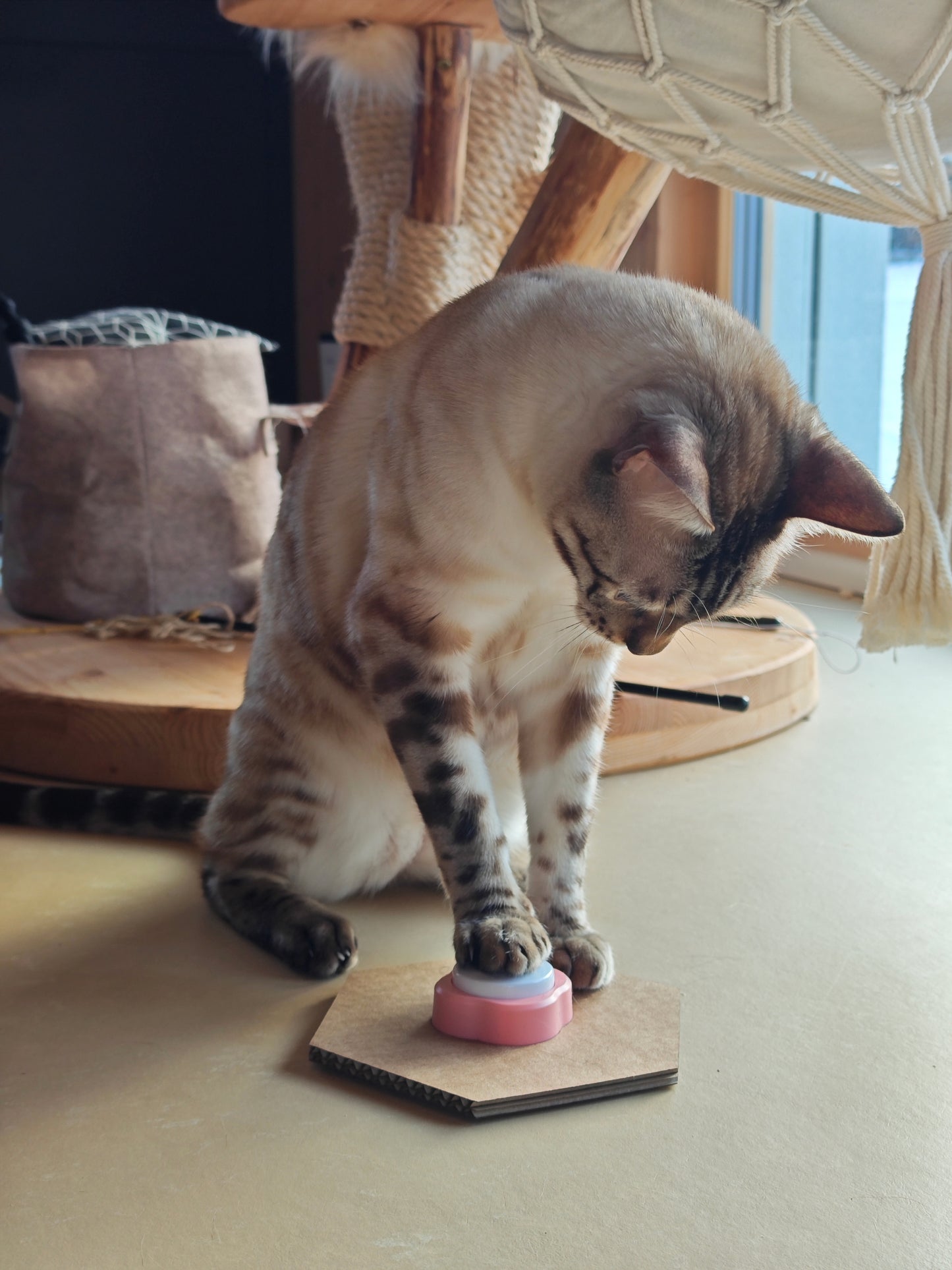 Sada tří mluvících tlačítek